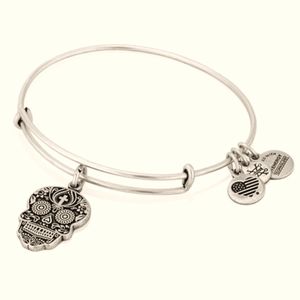 Alex and Ani Skull bracelet